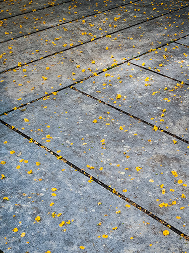 https://photoblog.pedroarroyo.es/files/gimgs/62_img4697.jpg