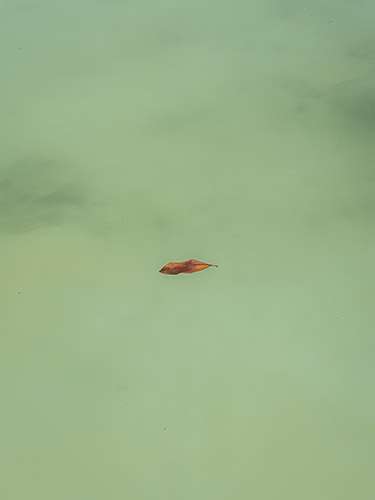 https://photoblog.pedroarroyo.es/files/gimgs/62_vitae55.jpg
